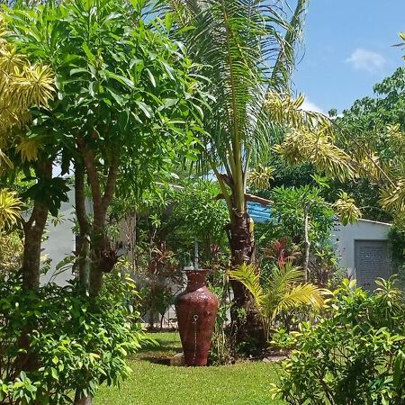 Mem Homestay ชุมพร ภายนอก รูปภาพ