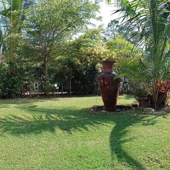 Mem Homestay ชุมพร ภายนอก รูปภาพ