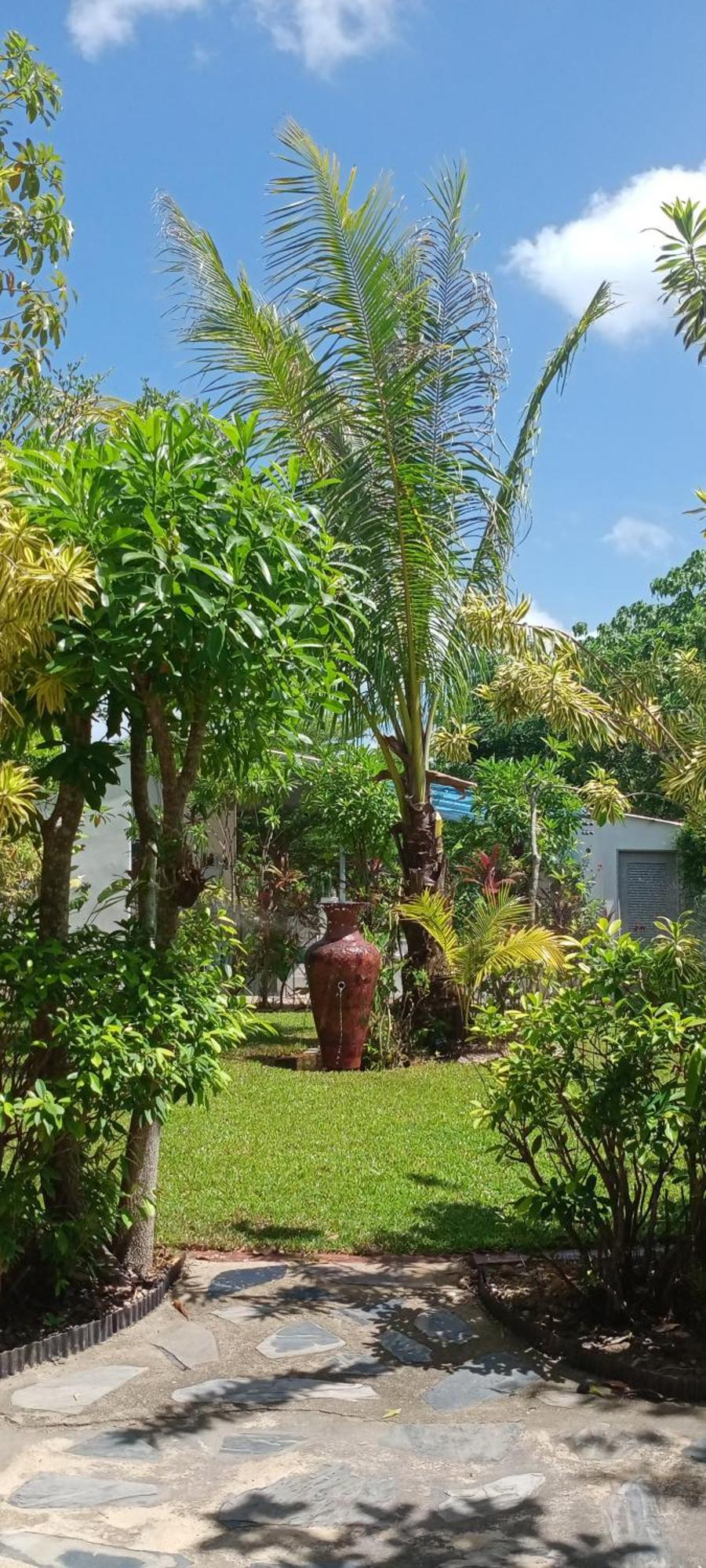 Mem Homestay ชุมพร ภายนอก รูปภาพ