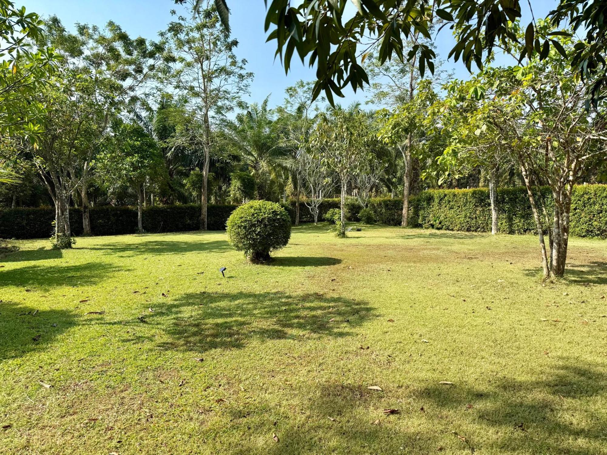 Mem Homestay ชุมพร ภายนอก รูปภาพ